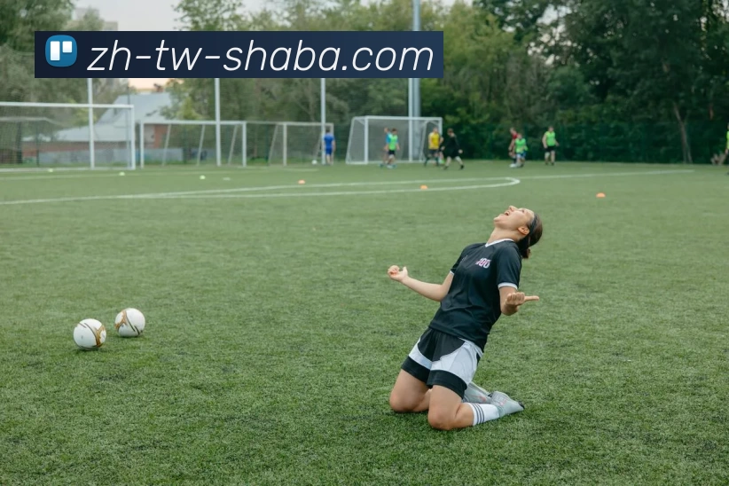 沙巴官方网站平台生态图